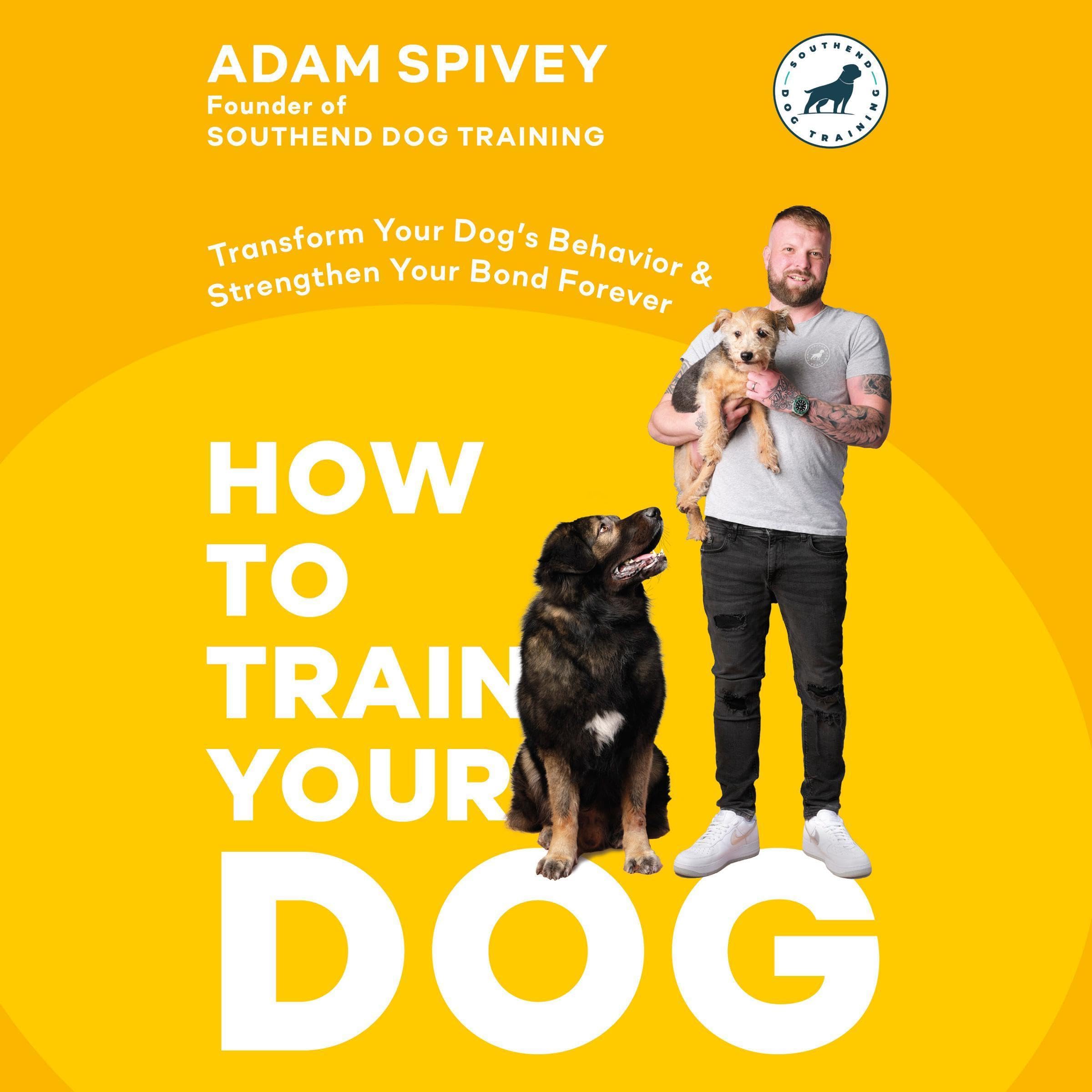 Cover art for How to Train Your Dog