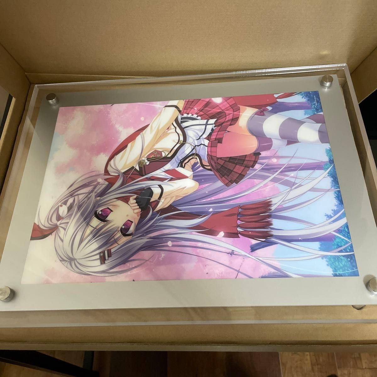 Amazon.co.jp: LEDライトパネルA4クリアポスター セット YXKB : ホーム
