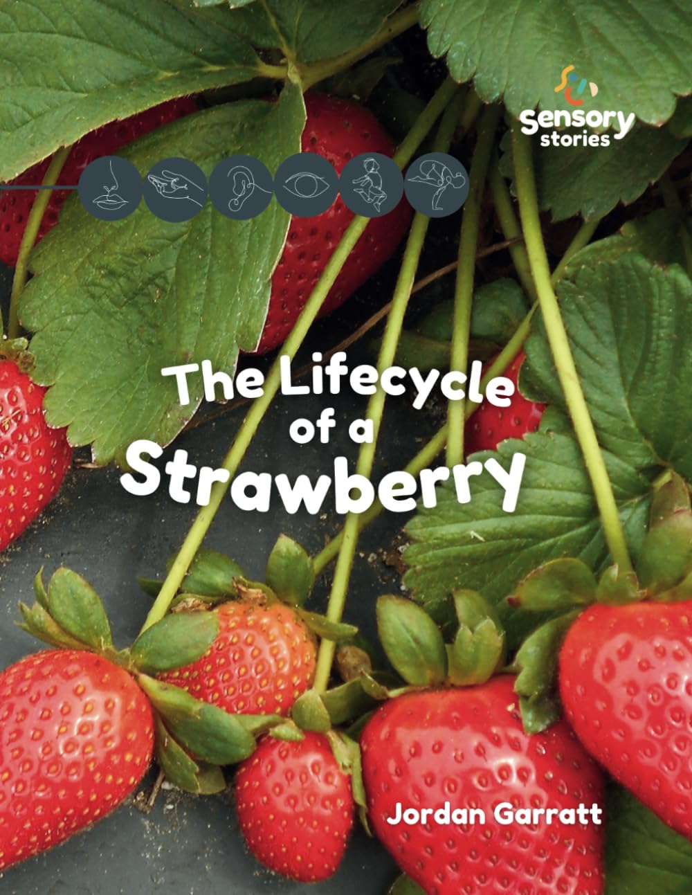 The Lifecycle of a Strawberry: A Sensory Story (Sensory Curriculum Sensory Stories)