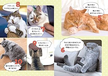ころばぬさきのねこ 〜病気にならない猫の飼い方〜 | 伊藤裕行