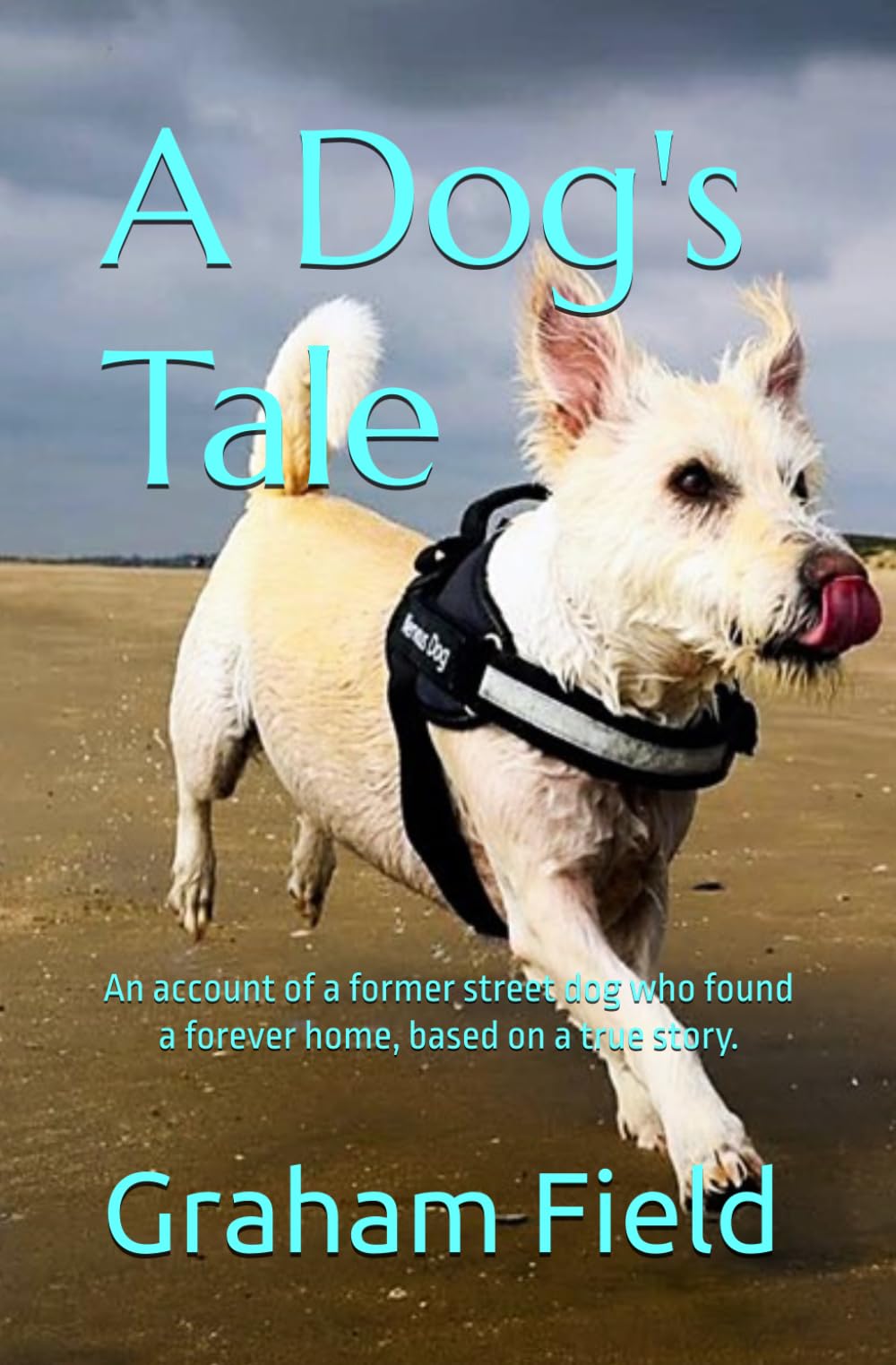 A Dog's Tale: An account of a former street dog who found a forever home, based on a true story.