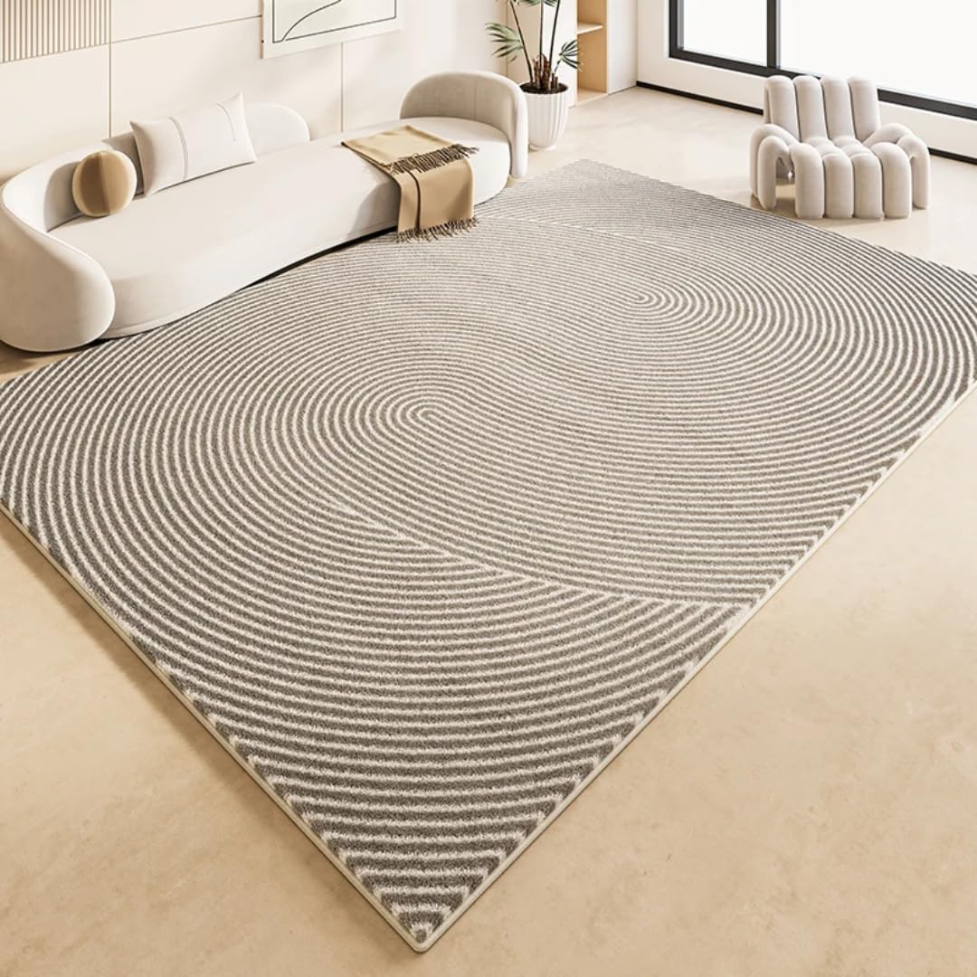 Modern Minimalist Rugs for Bedroom Large Area Living Room Decoration Line Carpet Thick Plush Lounge Floor Mat Home(80x120cm/C)