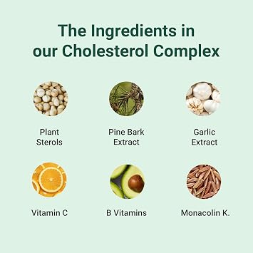 Theonia Cholesterol Complex Supplement | Plant Sterols & Pine Bark Extract - Advanced Cholesterol Support - 90 Tablets/30 Servings - Non-GMO, Vegan