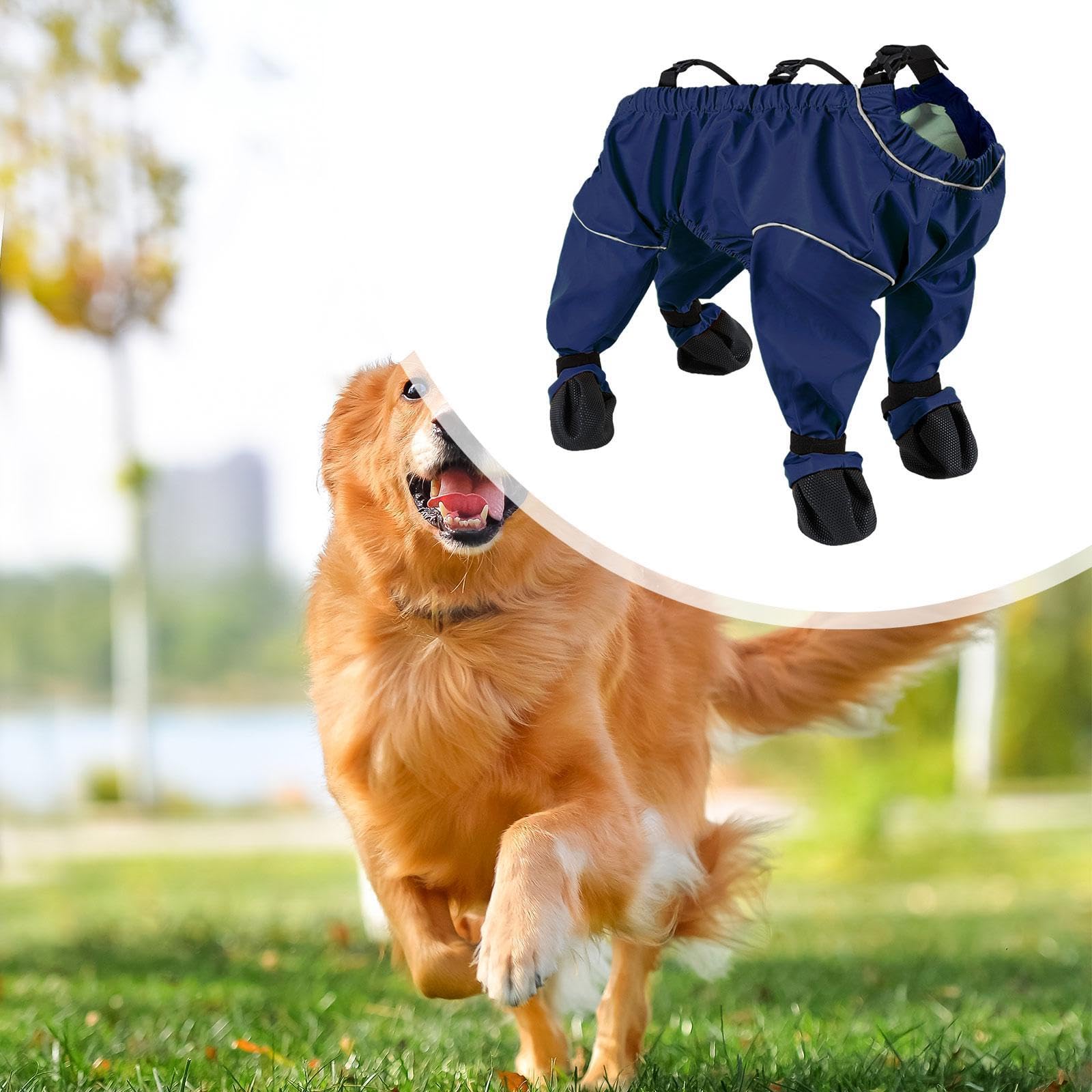 F Fityle Chaussures pour Chien avec Bretelles et Protections de Pattes, XL