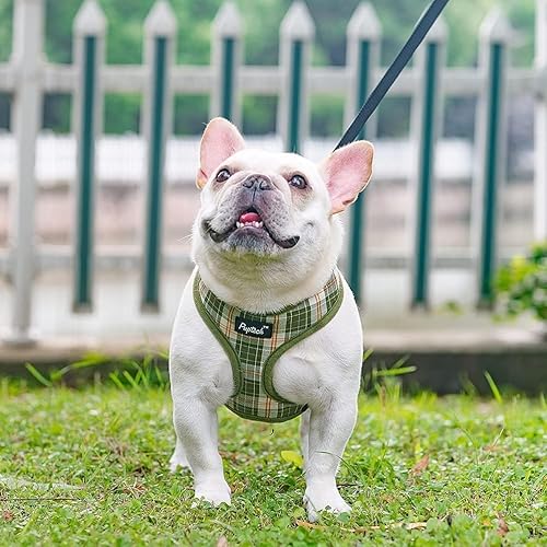 Miniatura 6 de PUPTECK Juego de arnés y correa de malla suave para perro, cachorro y gato, cómodo chaleco acolchado sin tirones, verde oliva, S