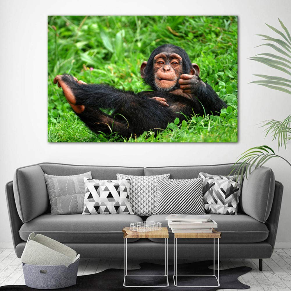 Amazon.co.jp: 装飾画赤ちゃん動物チンパンジーおかしい笑顔壁紙