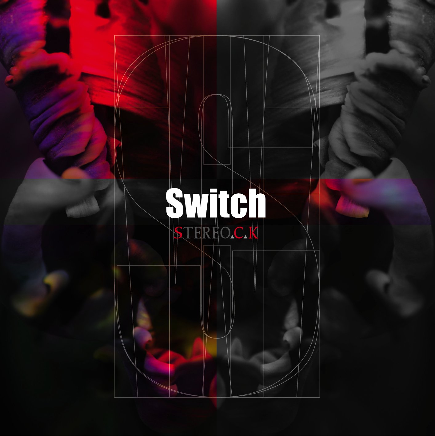 A*A様 Nintendo Switch 本体とソフト12本レアサウンドCDまと Switch (限定盤): Amazon.sg: Music