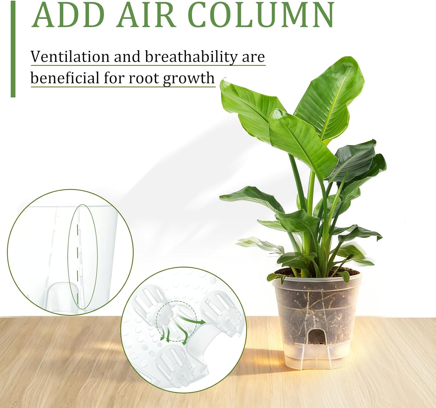 10Pcs Clear Self Watering Pots for Indoor Plants, Bare Root Planters with Deep Reservoir & High Drainage Holes, Bottom Watering Semi Hydroponic Pots for Orchids, Herbs & Flowers(10)