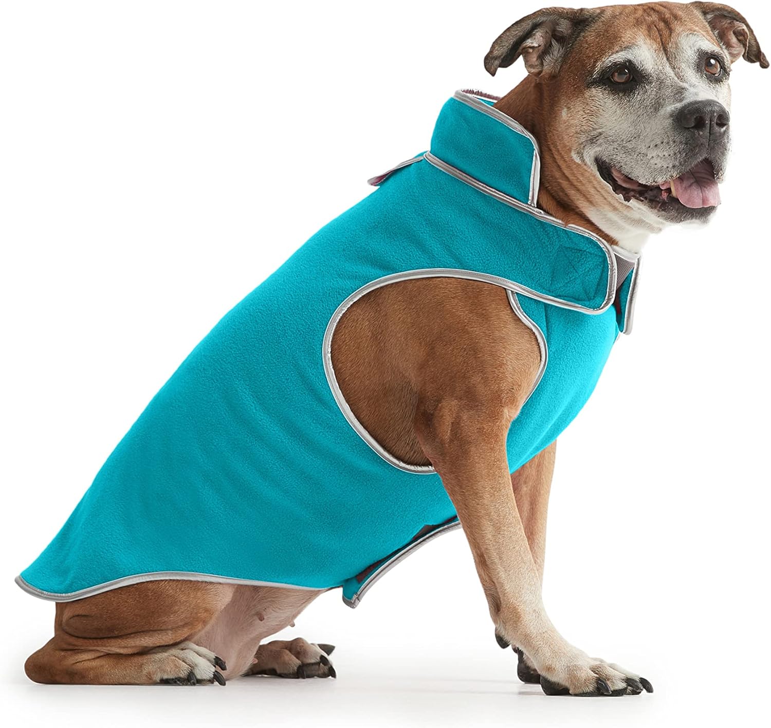 velcro dog jackets