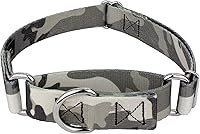Vista 1 de Country Brook Petz - Collar para perro Martingala Urban Camo - Colección de camuflaje con diseños resistentes (1 pulgada, mediano)