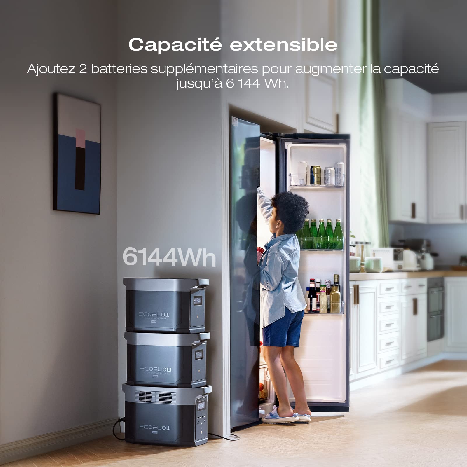 Station électrique portable EcoFlow DELTA 2 Max, capacité 2048Wh, batterie LFP, recharge rapide, seuls quelques petits défauts dans l'emballage, le produit n'a pas été utilisé(Reconditionné)