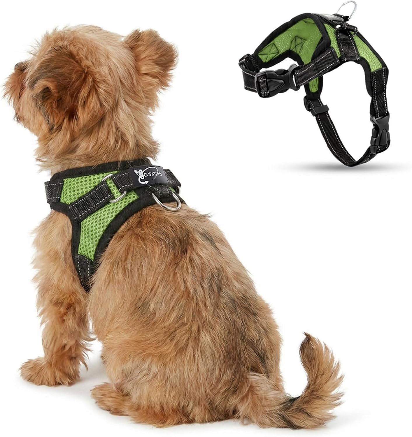 No Pull Reflective Adjustable Dog Harness with Handle- Comfortable Soft All Weather Mesh, Easy On Puppy Harness for Small Medium and Large Dogs (Green) XX-Small