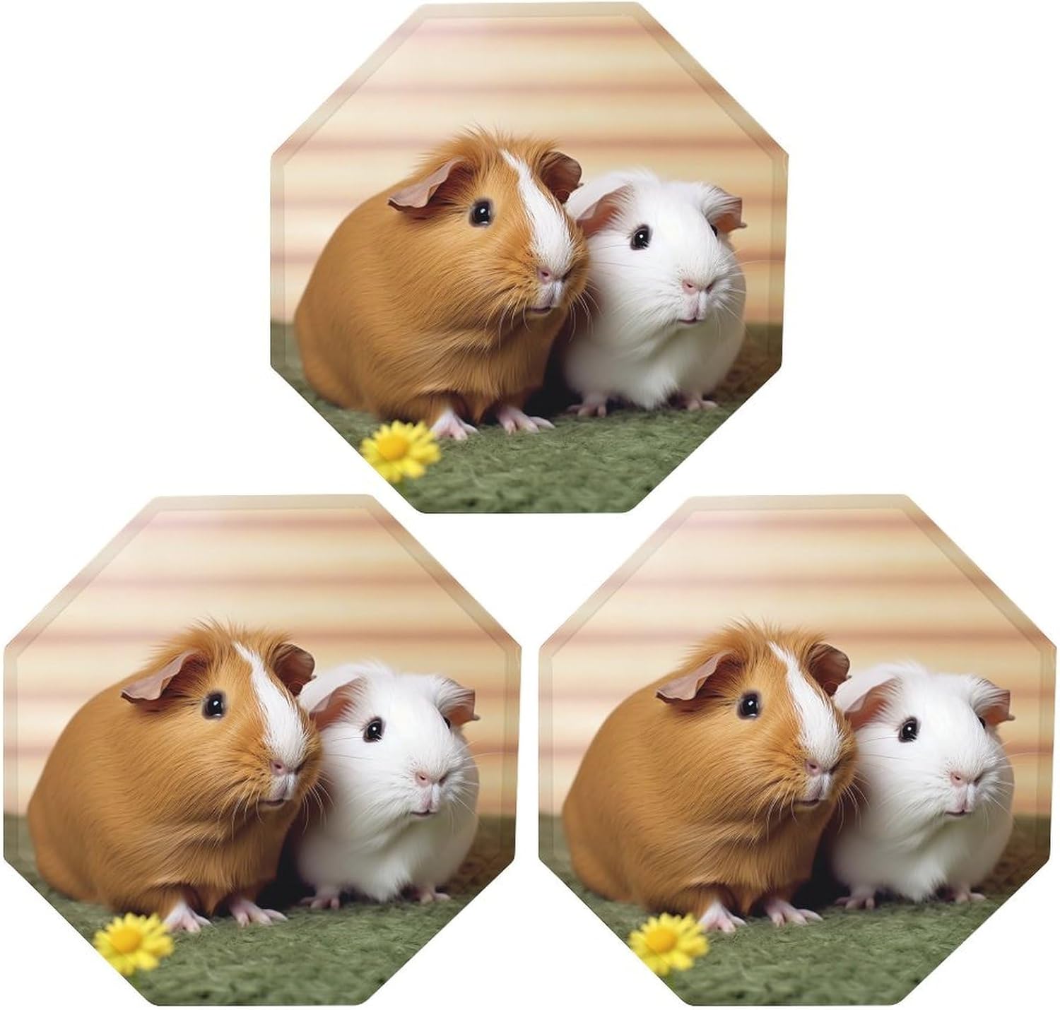 Ctagon Metal Sign for Home, Modern Display Plate for Kitchen, Cute Guinea Pig Plates Accent Hanging Wall Decorations 3PCS for Living Room, Bedroom, Hallway, Hotel