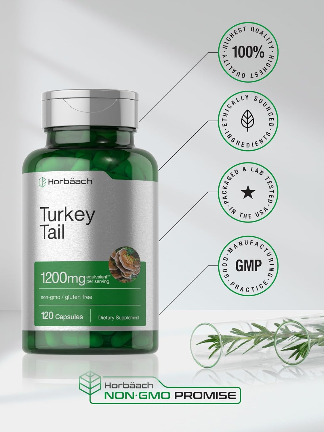 Horbäach Turkey Tail Mushroom Capsules | 120 Count | Non-GMO and Gluten Free Extract - Image 6