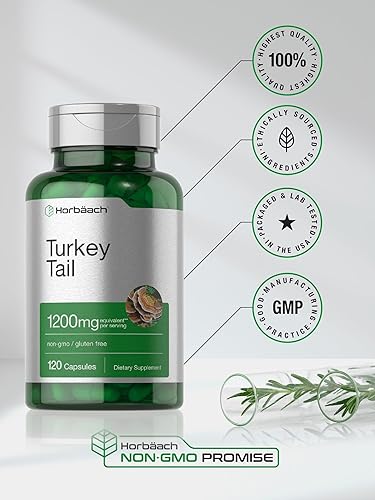 Miniatura 6 de Horbäach Cápsulas de hongos de cola de pavo  1200 mg  120 unidades  Extracto sin OMG y sin gluten