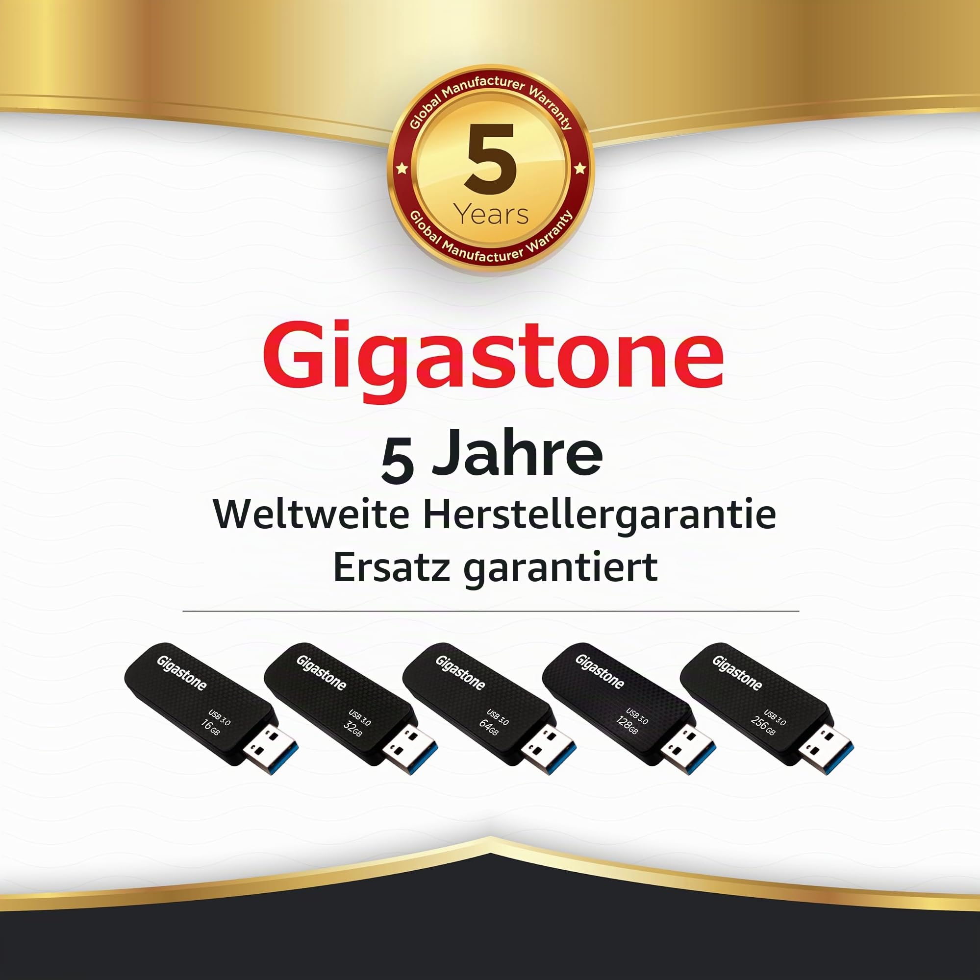 GIGASTONE 256GB USB-Flash-Laufwerk (2 Stück) Z30 USB 3.2 Gen 1 Stick, 100MB/s High Speed, mit Push-Pull Design & Schlüsselring-Öse - Daten­speicherung, Backup für PC/Mac/TV/Auto
