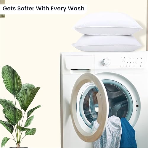 Miniatura 6 de SGI - Juego de 2 fundas de almohada de algodón egipcio de lujo, suave de 1000 hilos, color blanco, tejido satinado sólido para una sensación suave y