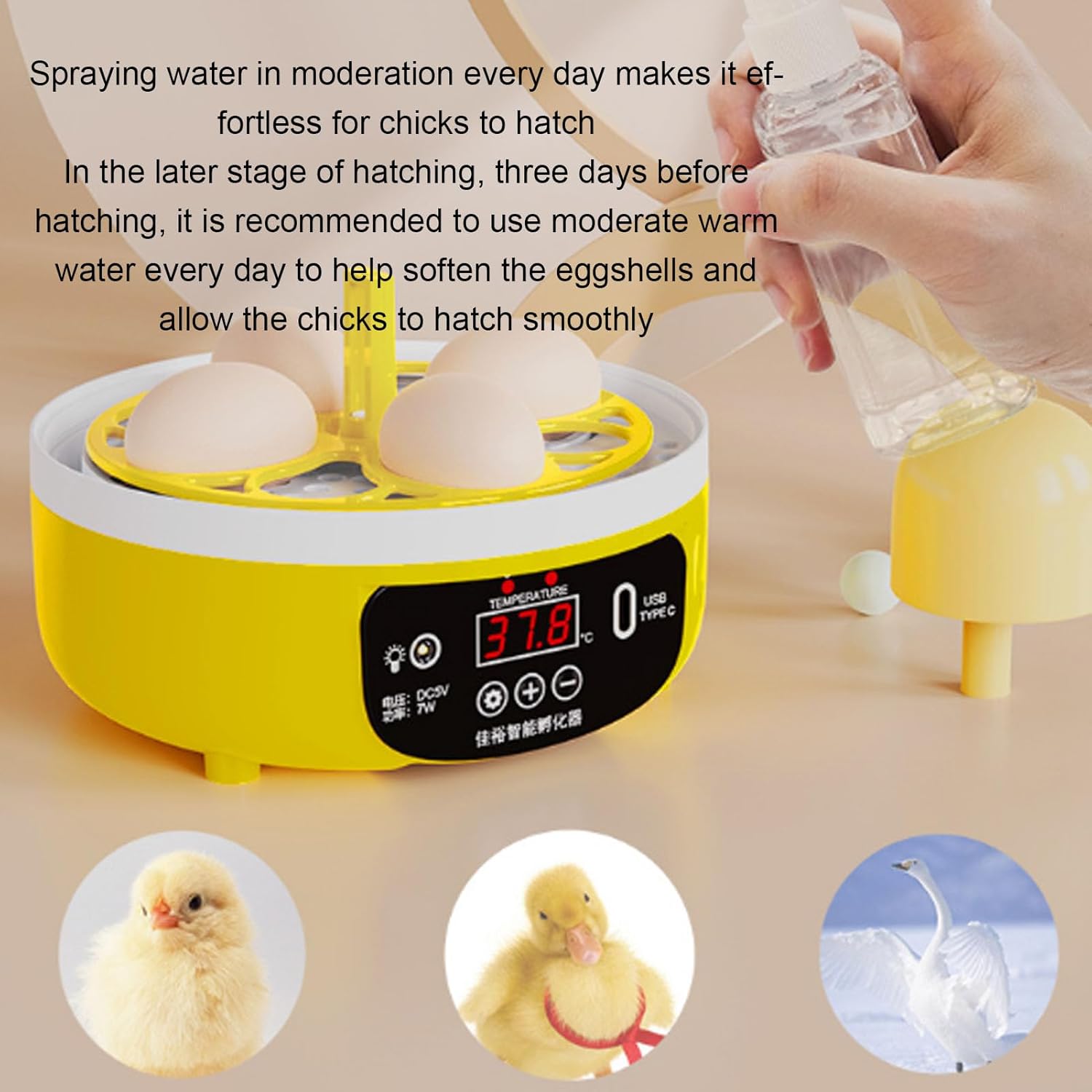 Mini Egg Incubator Smart Temperature Control Poultry Hatching Machine Compact Home Use
