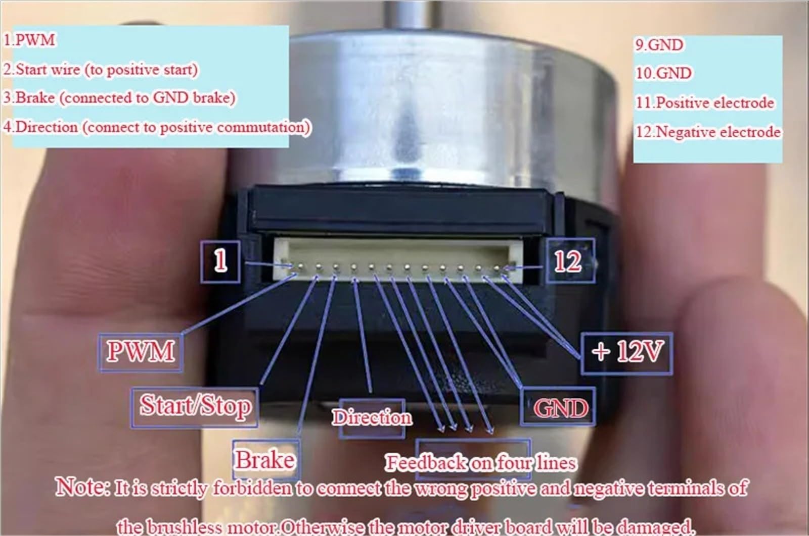 Servomotor sin escobillas de 24 horas, 12 V CC, regulación de velocidad integrada, codificador de 100 líneas