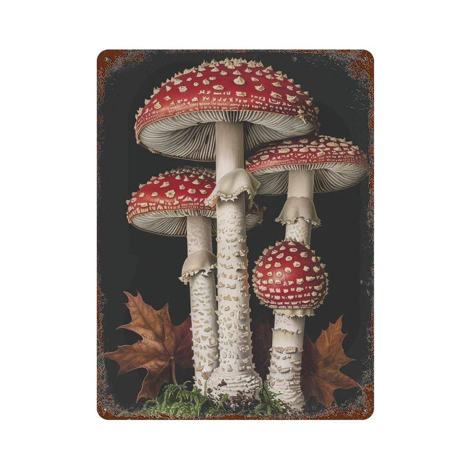 HDURYEYRYY Dark Forest Amanita Muscaria 04 Wall Retro Iron Vintage Art Metal Tin Sign Poster Modern Home Cofffee Club Art Bar Shop Decor 40x30cm