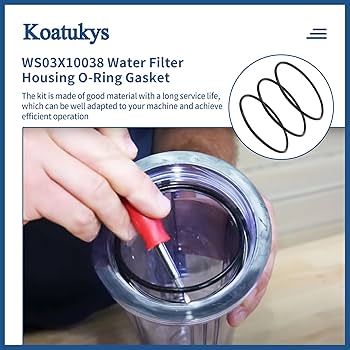 Amazon.com: Koatukys WS03X10038 Water Filter Housing O-Ring