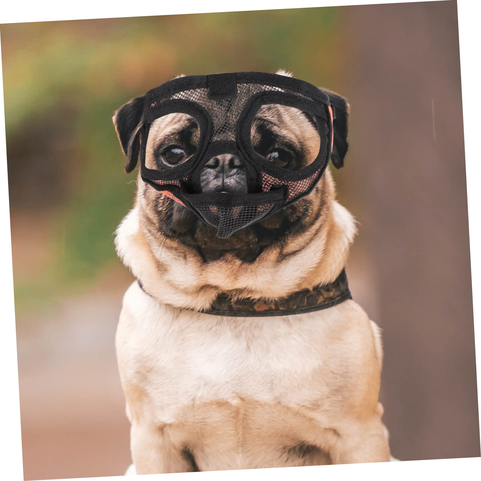 INOOMP 3pièces Muselière pour Chien Respirante Maille Ajustable Anti-aboiement Et Anti-Morsure Confortable Et pour Animaux De Compagnie