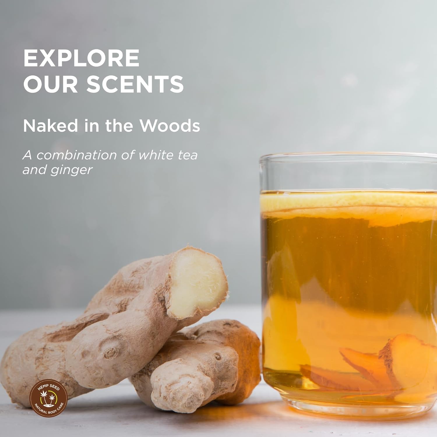 Hemp Seed Massage Lotion - 8 oz - Glides Easily on Skin, Absorbs Slowly & Deeply, Moisturizes, Leaves Skin Silky Soft - Vegan, Cruelty Free - Image 4