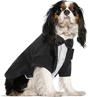 Queenmore Dog Tuxedo Suit, Formal Dog Outfit for Wedding, Pet Tuxedo with Tie, Dog Halloween Costume for Large Medium Small Dog,Puppy and Cat (Black,M)