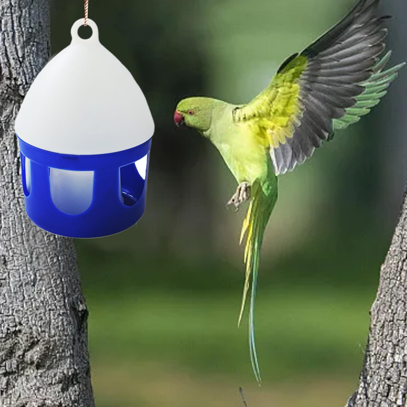 Mangiatoia Per Piccioni - 70867 - Copele - In Plastica / Multiaccesso - Foto 9