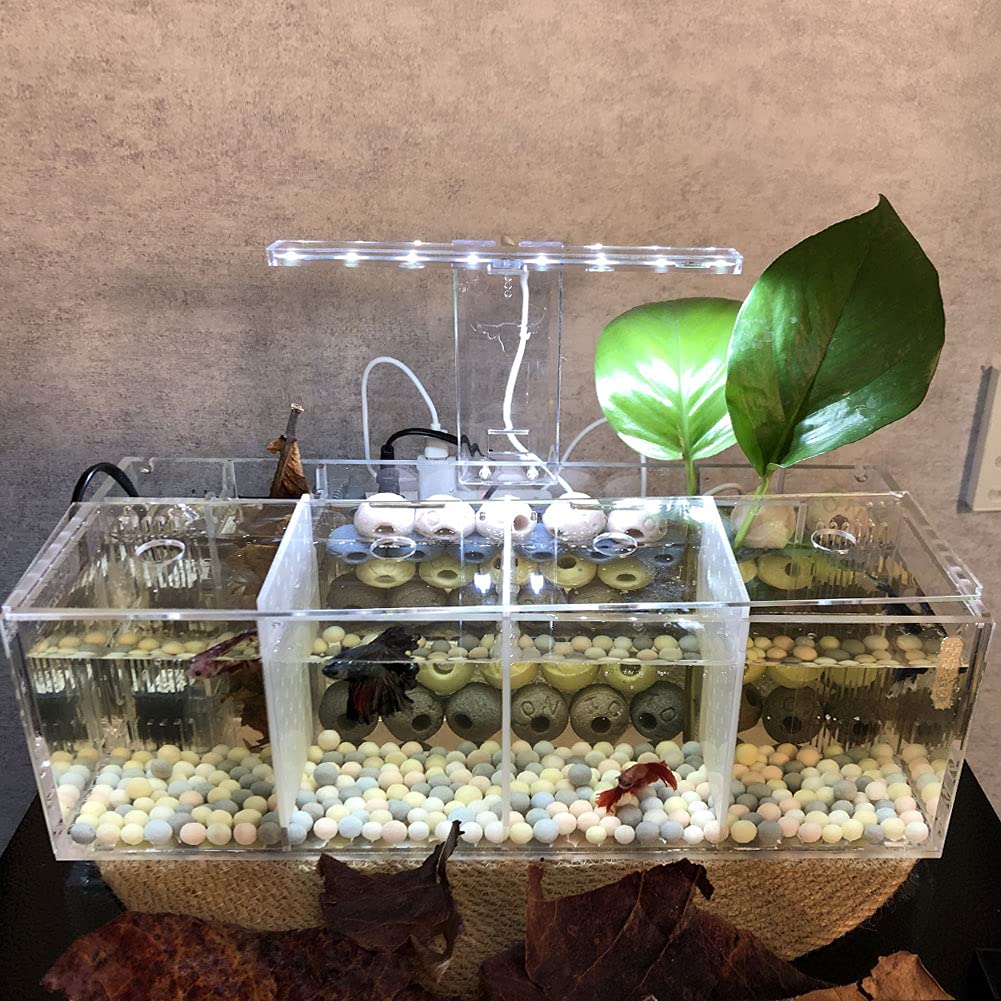 Betta Fish Tank Aquarium Material acrílico Mini pecera de Escritorio Kit de Cuencos con Bomba de Agua y Luces LED Autocirculación Tanque ecológico Sala de Aislamiento de Peces Enfermos (4 Rejillas)