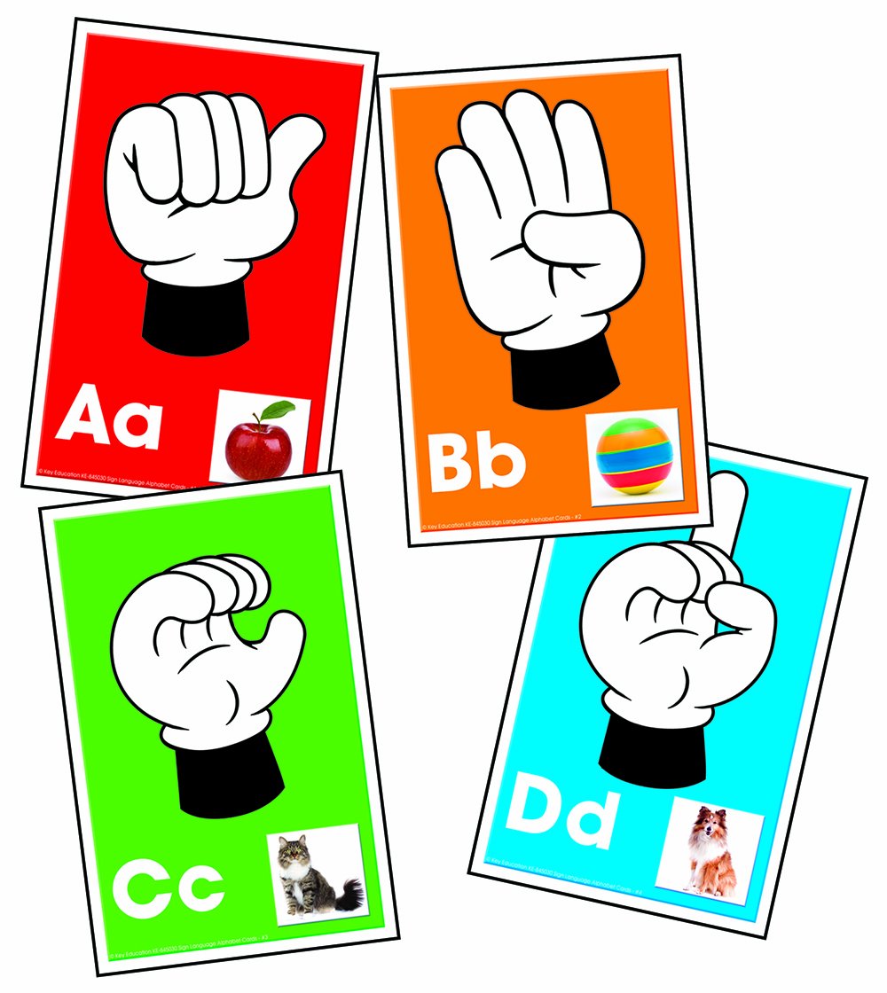 Alphabet: Signs, Letters, Sounds Learning Cards : Flora, Sherrill B ...