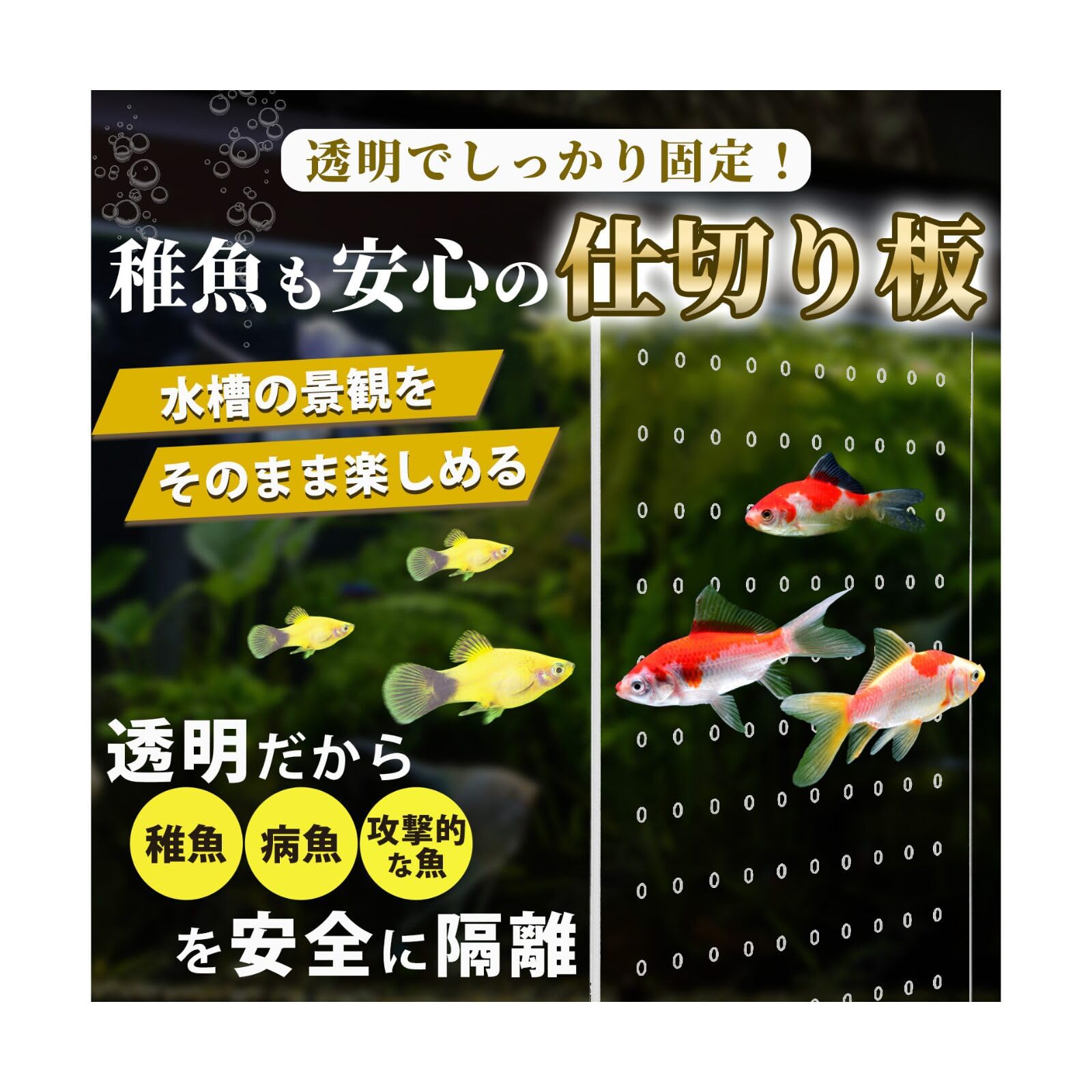 Amazon | Pianna 水槽 仕切り 水槽仕切り板 【水槽の間取り変更が自由 