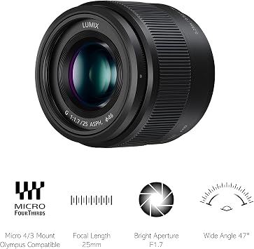 Panasonic H-H025E Lumix G Fixed Combustion Width 25 Mm F1.7 Asph. Lens (Image Angle 47°, Filter Size 46 Mm, Near Setting Limit 0.25 M) Black