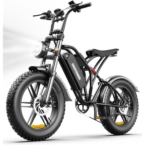 Rideon Electric Bike for Adults,1500W Peak Motor Ebike, Up to 60Miles 32MPH, Fat Tire Electric Bike with 48V 13AH Removable Battery (S20-13AH-1500w)