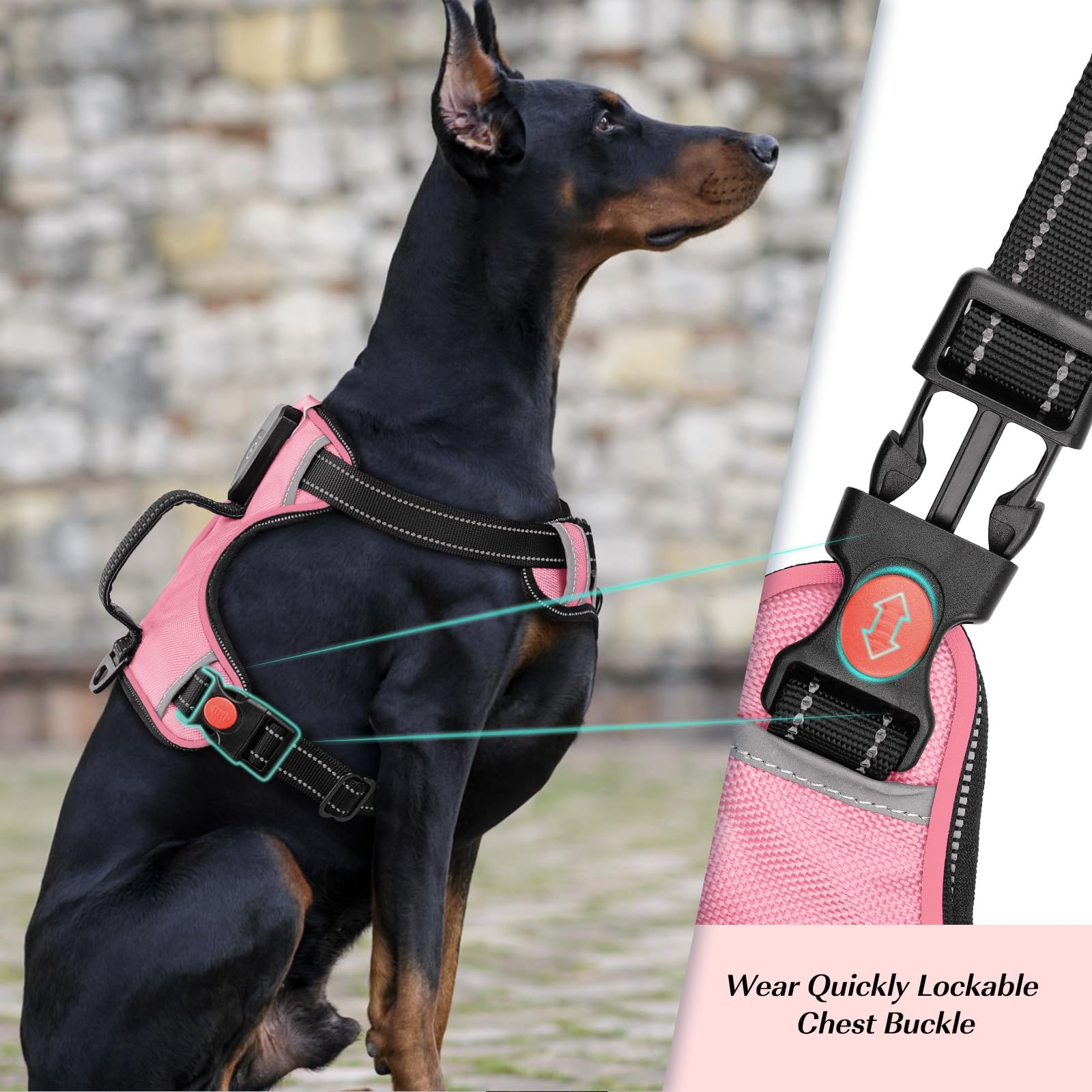 YFbrite Light Up Dog Harness - Rechargeable, Adjustable, Waterproof LED Harness for Small Medium and Large Dogs (Pink, Large) - Image 3