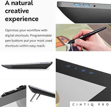 Wacom Cintiq Pro 24, Drawing Tablet with 4K Touchscreen & ProPen 2 | Color-accurate display with advanced creative control for pros & studios creating animation, VFX, game art and 3D projects