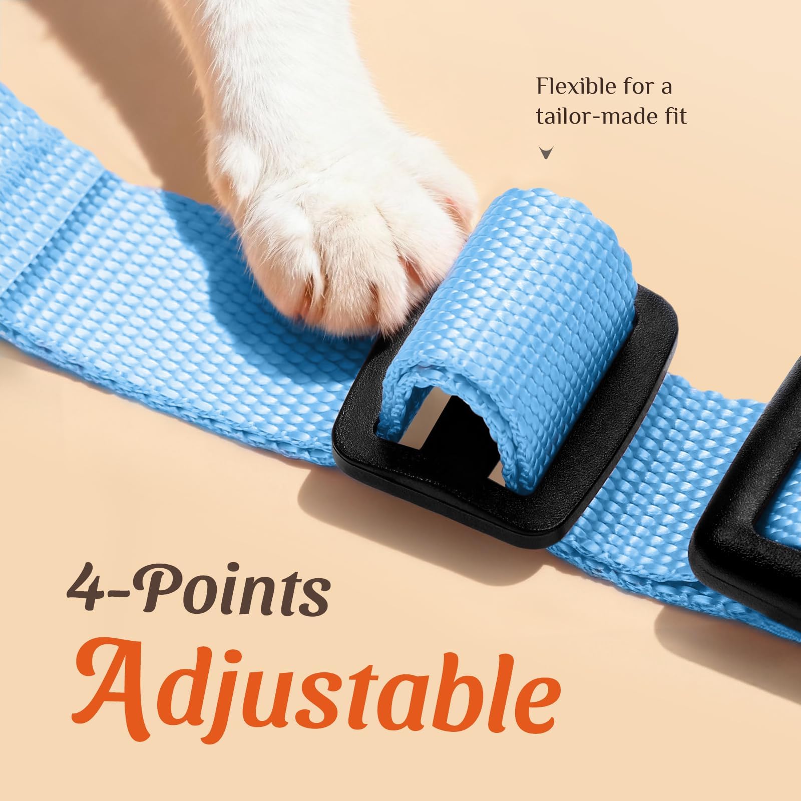 Dooradar Harnais et Laisse pour Chat, Anti-Fuite, sûr et réglable, Gilet pour Chaton, contrôle Facile, Veste en Maille Douce et Respirante avec Bandes réfléchissantes