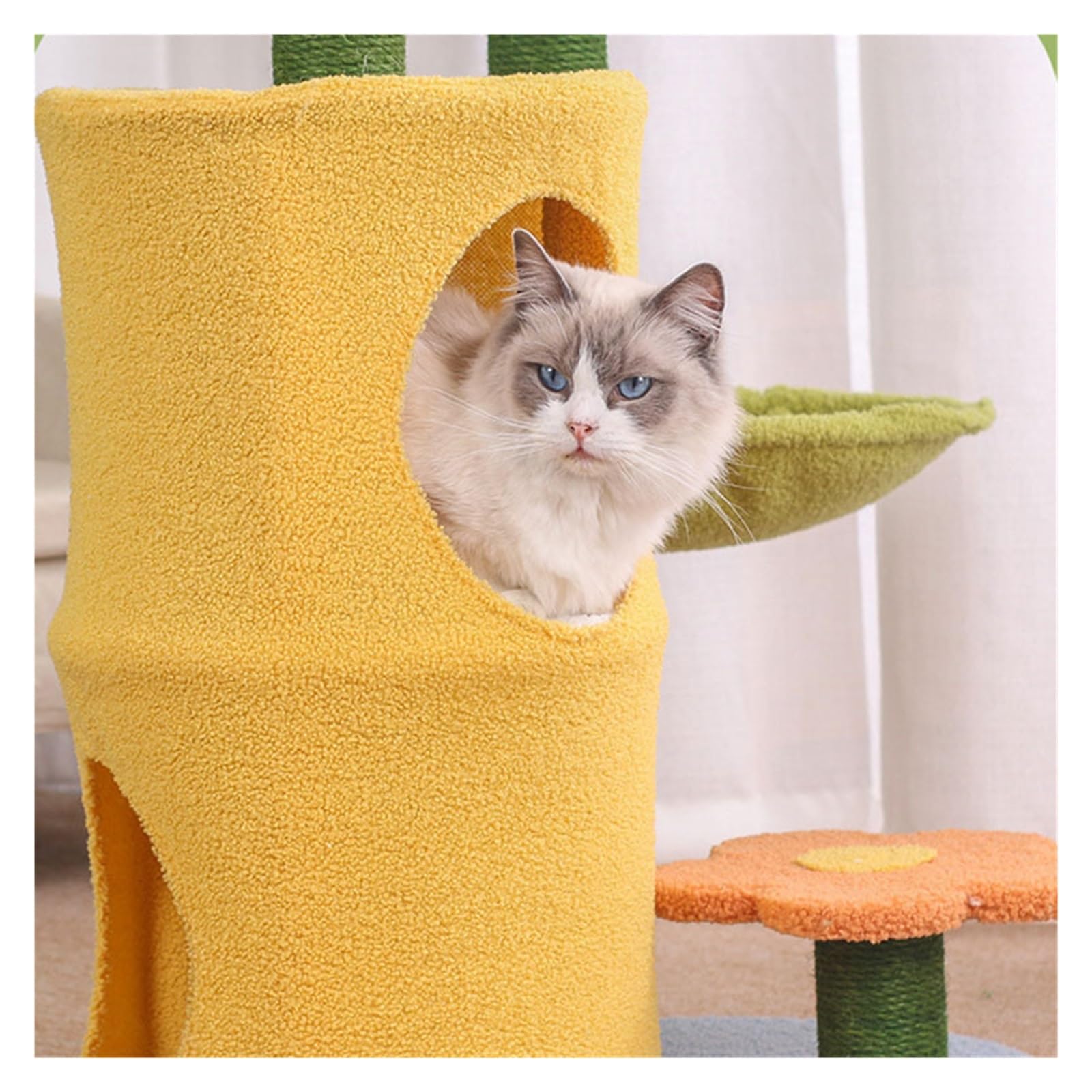 Marco De Escalada For Gatos, Arena For, Árbol For, Un Rascador For Sisal, Suministros For La Familia Varios, Juguetes Estable