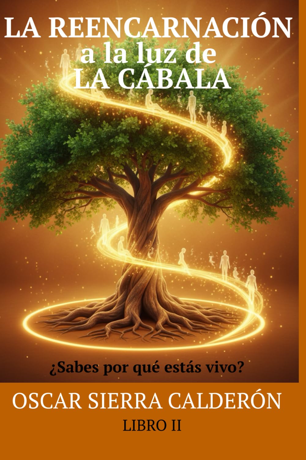 LA REENCARNACIÓN A LA LUZ DE LA CÁBALA: ¿Sabes por qué estás vivo?