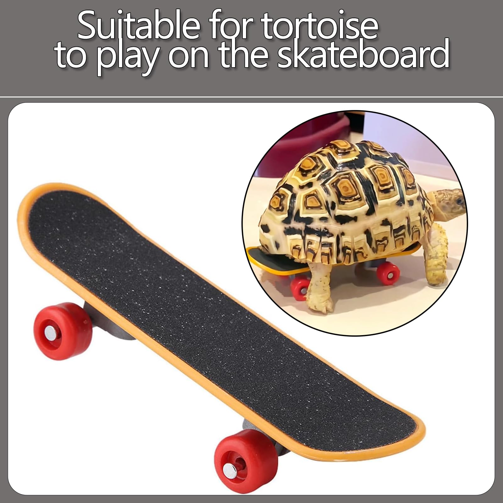 GETJOY Tortoise Skateboard and Toys Set, 1 Skateboard with 2 Hollow Bell Balls, 5 Cm Feeding Balls and Leash, Mini Skateboard, Interactive Play for Pet Health and Exercise - Image 4