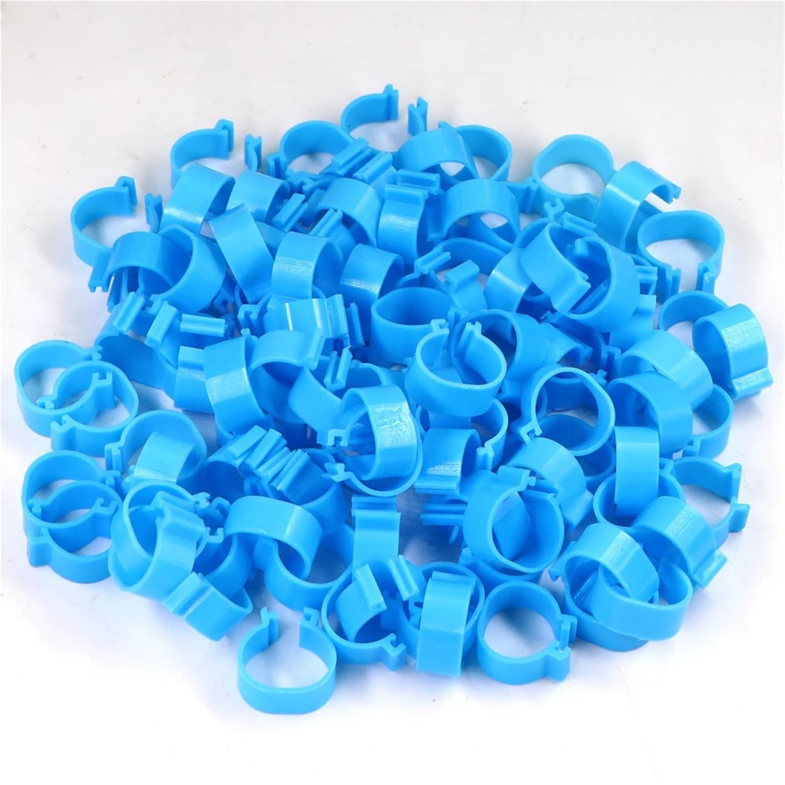 Anelli per Galline 100 pezzi 6 colori anelli for zampe di pollo, anatra, oca, strumento identificazione animali, etichetta vuota, fibbie, fascia a clip, 16/18/20/25,0 mm(Color 04,25.0mm)