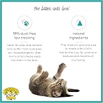 Dr. Elsey's R and R Cat Litter - Low Dust, Low Tracking, Hard Clumping, Superior Scent Control, Unscented and Natural Ingredients - Stress Reducing Kitty Litter, Supports Healthy Breathing