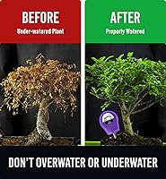 Vista 6 de GROWIT - Monitor de agua de suelo para plantas, medidor de humedad del suelo, hidrómetro para plantas, medidor de humedad de plantas