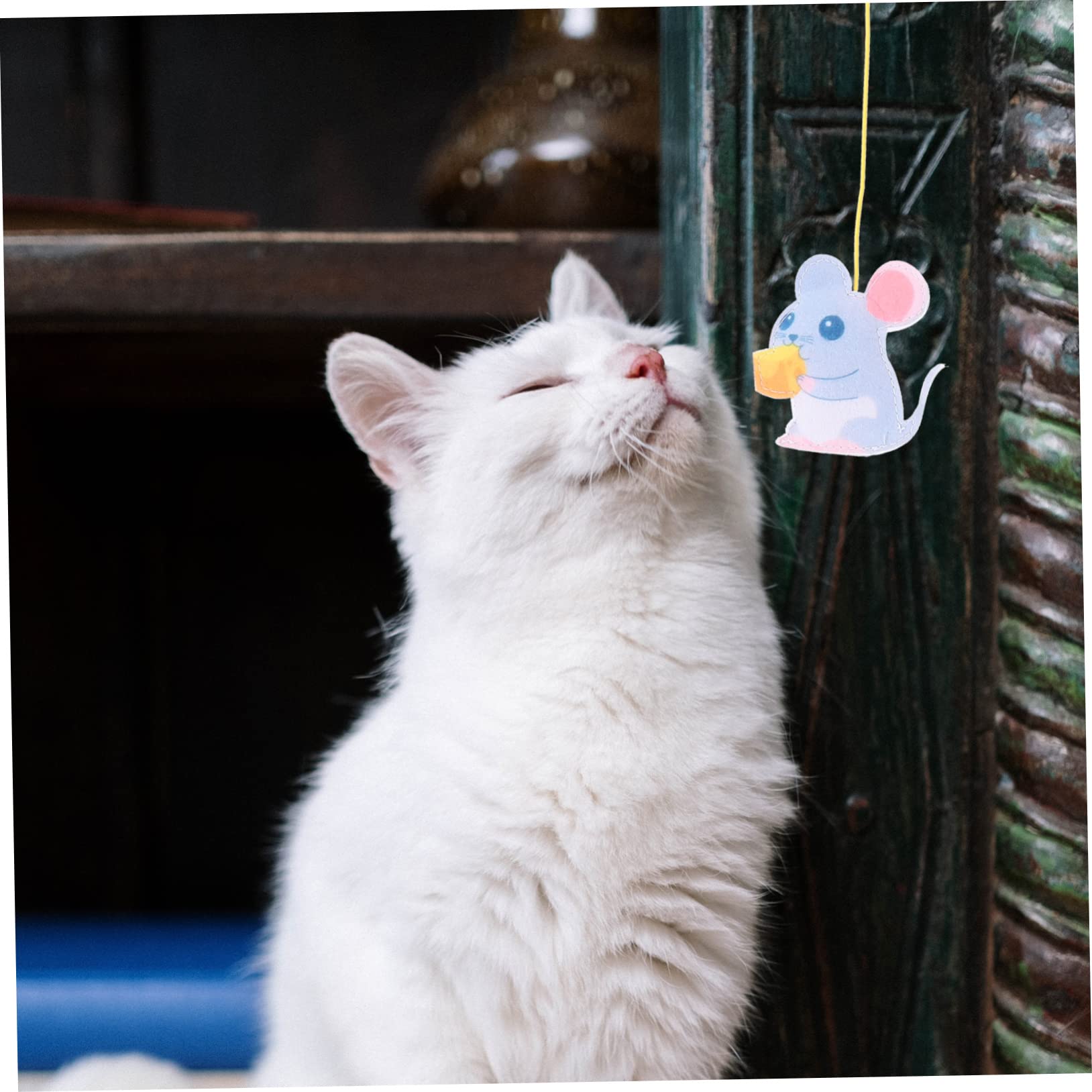 Happyyami 20stücke Katzen Spielzeug Interaktive Türhängende Schnur Spielzeuge Für Katzen Bunte Und Unterhaltsame Katzenangel Mit Feder Geräuschpapier Und Plüschfiguren Zur