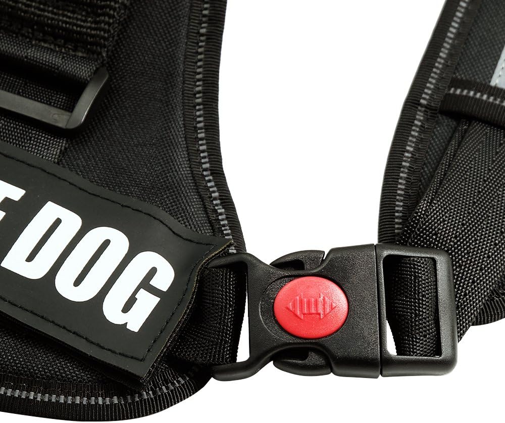 fairwin dog harness