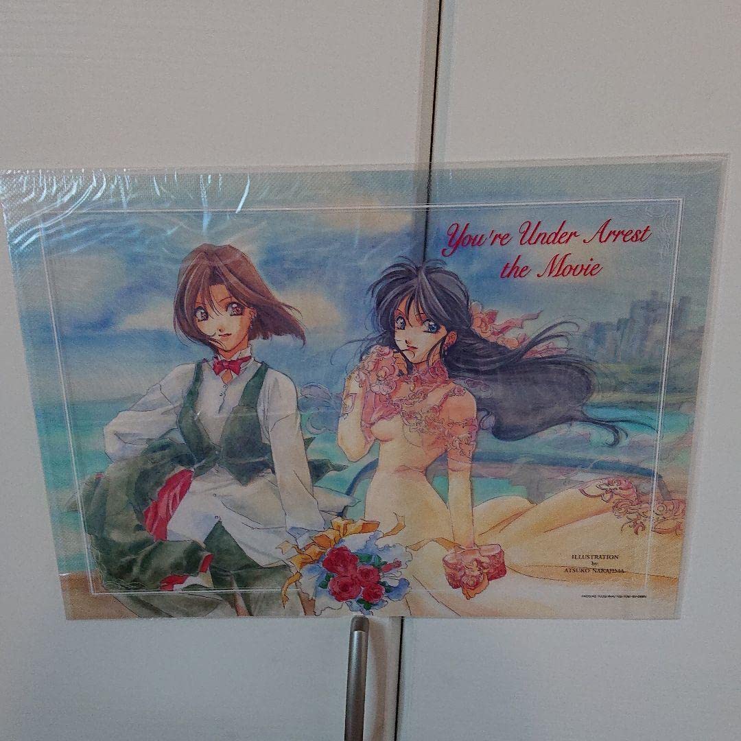 逮捕しちゃうぞ トレーディングカード 藤島康介 全種類フルコンプ Yahoo!オークション -「逮捕しちゃうぞ トレカ」の落札相場