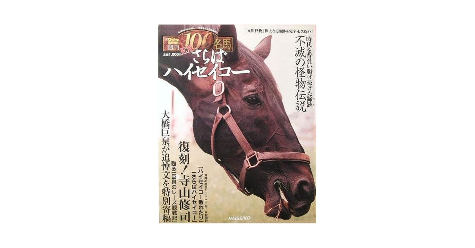 週刊100名馬 Vol.91 チアズグレイス [Gallop臨時増刊] 週刊100名馬 Vol.91 チアズグレイス [Gallop臨時増刊]