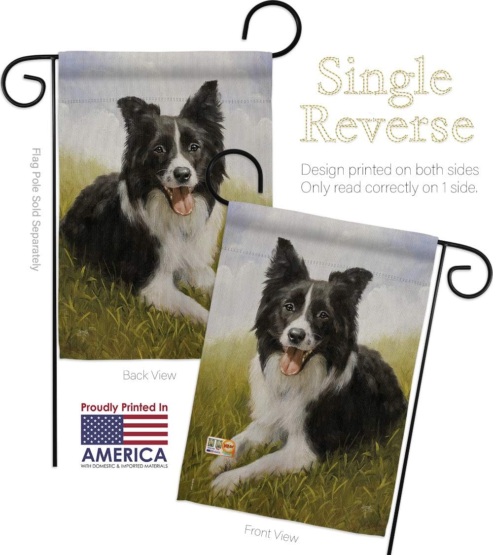 Dog Border Collie Garden House Flags Set Animals Puppy Spoiled Paw Canine Fur Pet Nature Farm Animal Creature Small Decorative Gift Yard Banner Made In USA 28 X 40