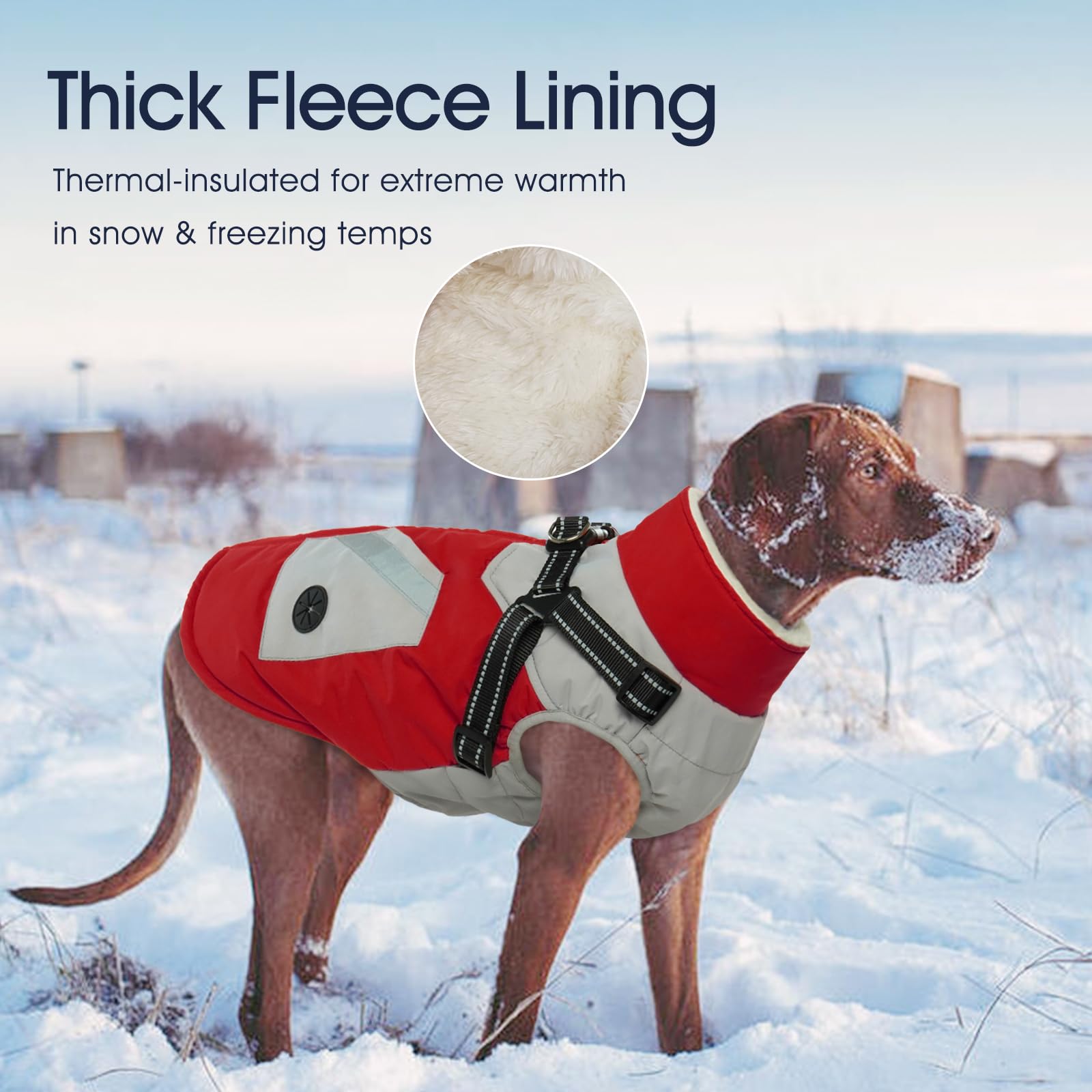 IECOii Cappotto per cani foderato in pile spesso con imbracatura integrata, giacca invernale per cani con cerniera, impermeabile, antivento, caldo, 2 in 1, per cuccioli di taglia grande, media e