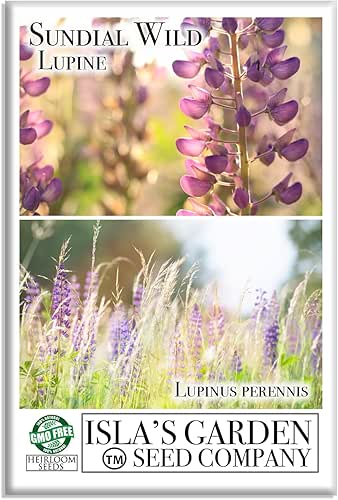 Sundial Wild Lupine Seeds (Lupinus perennis) – 50+ Heirloom Non-GMO